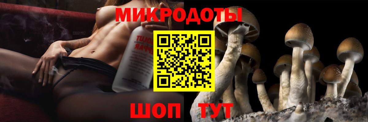 Галлюциногенные грибы прущие грибы Орёл